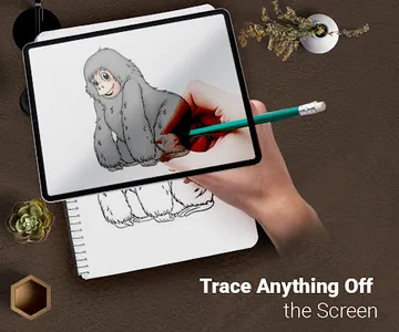 Draw : Trace & Sketch screenshot 10