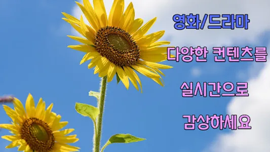 드라마 다시보기 어플 - 리얼 티비 screenshot 3