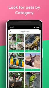 Pet Market Live screenshot 2