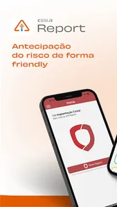 Report screenshot 8