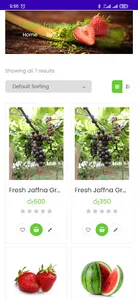 Fruits Megastore screenshot 3