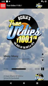 True Oldies Y100 screenshot 0