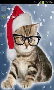 Crazy Hipster Cat screenshot 6