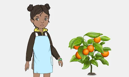 Orange Tree screenshot 0