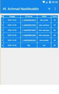 xeise self audit screenshot 1