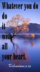 Bible Quotes Daily screenshot 12