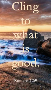Bible Quotes Daily screenshot 15