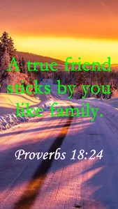 Bible Quotes Daily screenshot 4