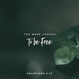 Bible Quotes for Life screenshot 7