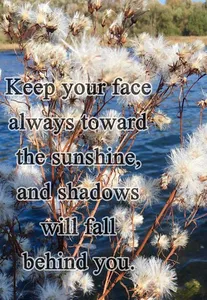 Simple Life Quotes screenshot 5