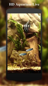 HD Aquarium Live Wallpaper 3D screenshot 2