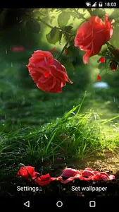 Red Rose Flower Live Wallpaper screenshot 0