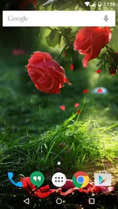 Red Rose Flower Live Wallpaper screenshot 5