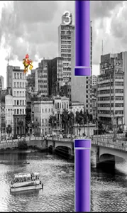 Recife Bird screenshot 0