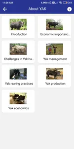 Yak-The ship of the high altit screenshot 4