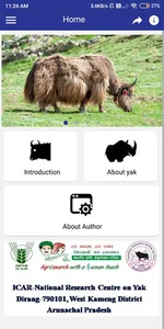 Yak-The ship of the high altit screenshot 6