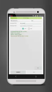 TCP Client screenshot 0