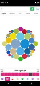 Year of Color screenshot 0