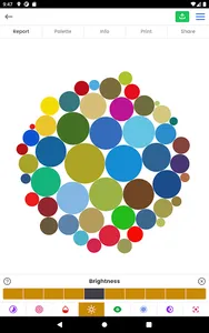 Year of Color screenshot 4