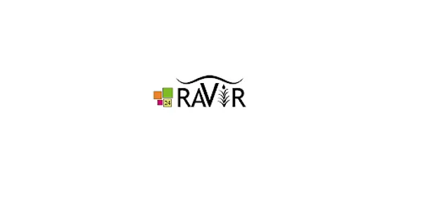Ravir 24 screenshot 0
