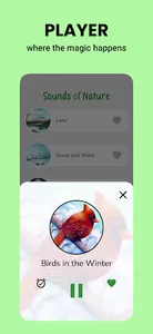 Sounds of Nature screenshot 1
