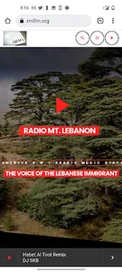 Radio Mt Lebanon screenshot 11