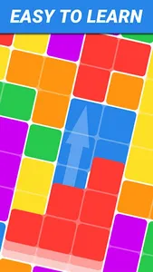 Niaki : The Block Puzzle screenshot 0
