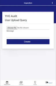 YHG Audit screenshot 2