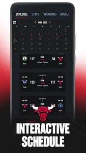 Chicago Bulls screenshot 1