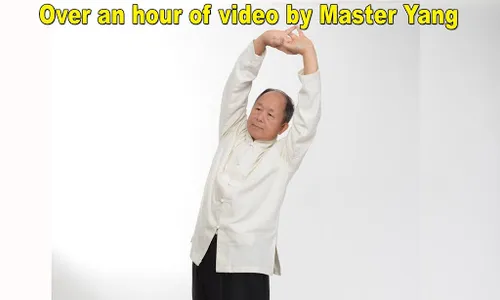 Qigong for Arthritis Relief screenshot 11