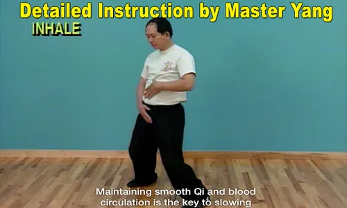 Qigong Massage for Partners screenshot 13