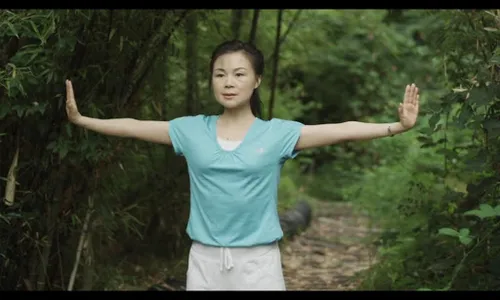 Qigong for Cancer (YMAA) screenshot 12