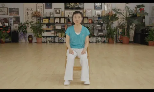 Qigong for Cancer (YMAA) screenshot 13