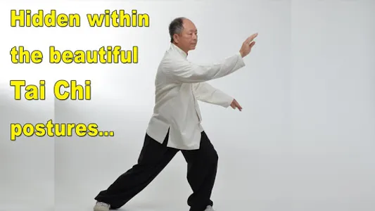 Tai Chi Martial Applications screenshot 1