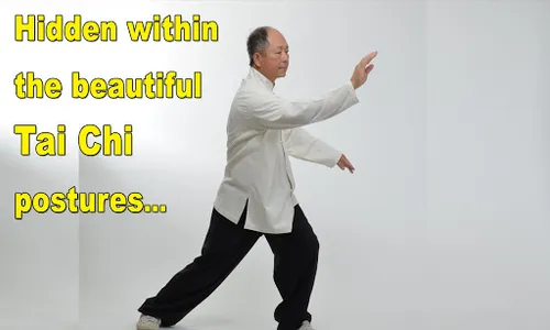 Tai Chi Martial Applications screenshot 11