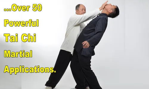 Tai Chi Martial Applications screenshot 12