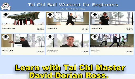 Tai Chi Ball Beginner screenshot 0