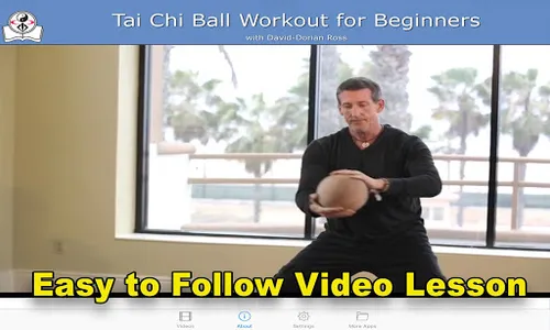 Tai Chi Ball Beginner screenshot 11