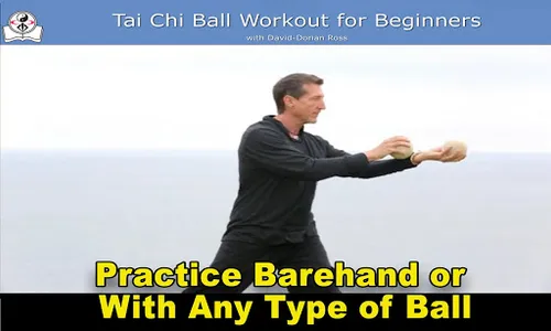 Tai Chi Ball Beginner screenshot 12