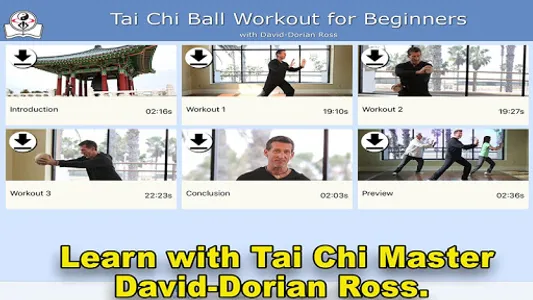 Tai Chi Ball Beginner screenshot 5