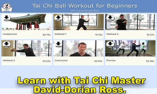 Tai Chi Ball Beginner screenshot 9