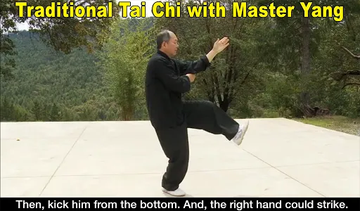 Yang Tai Chi for Beginners 2&3 screenshot 0