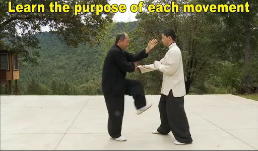 Yang Tai Chi for Beginners 2&3 screenshot 1