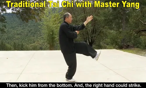 Yang Tai Chi for Beginners 2&3 screenshot 10