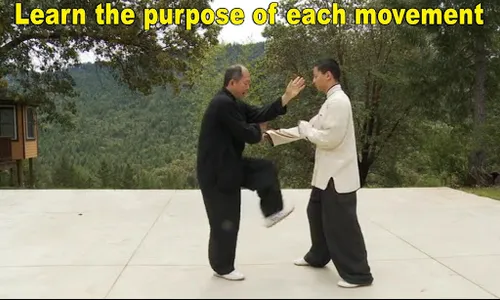 Yang Tai Chi for Beginners 2&3 screenshot 11