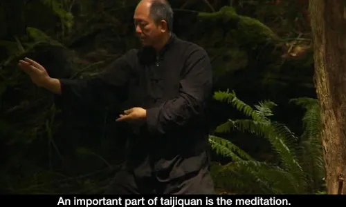 Yang Tai Chi for Beginners 2&3 screenshot 12