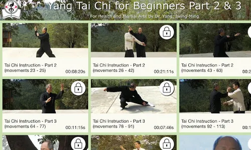 Yang Tai Chi for Beginners 2&3 screenshot 13