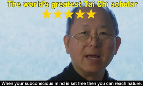 Yang Tai Chi for Beginners 2&3 screenshot 14