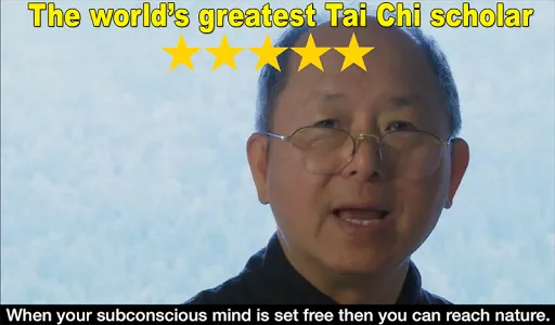 Yang Tai Chi for Beginners 2&3 screenshot 4