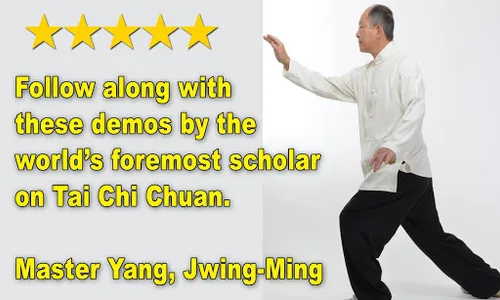 Tai Chi 13 Postures screenshot 11